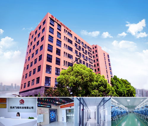 Cisco核心交換機與雙路由器連接配置及工業交換機品牌推薦